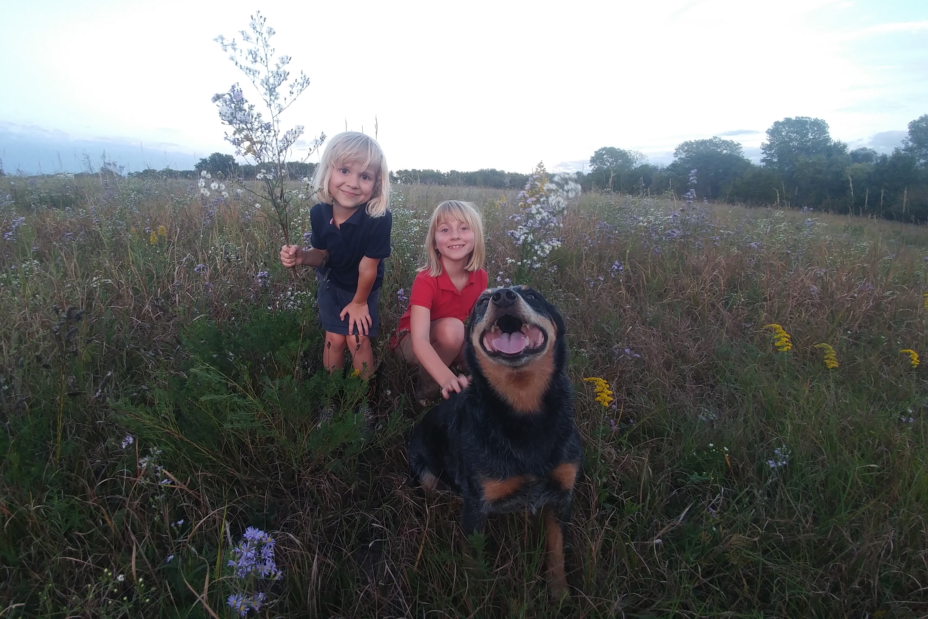 Kid and Cattle